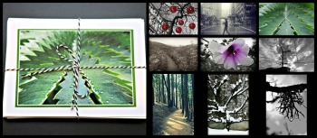rss-winter-holiday-cards